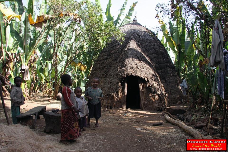 Ethiopia - Wolayta e la falsa banana - 4.jpg